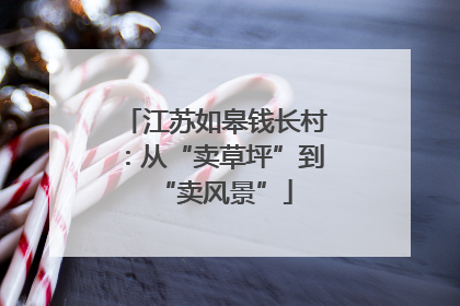 江苏如皋钱长村：从“卖草坪”到“卖风景”